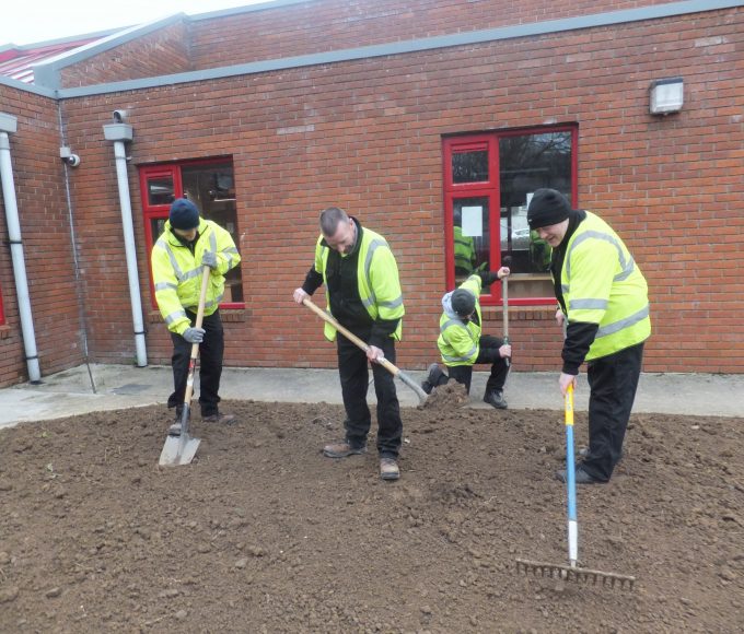 Wildflower Garden For Carrick On Suir Library