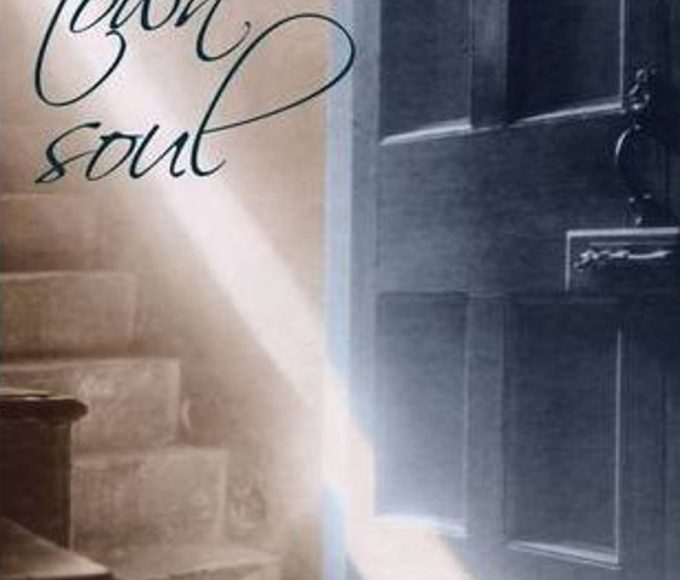 New Town Soul By Dermot Bolger