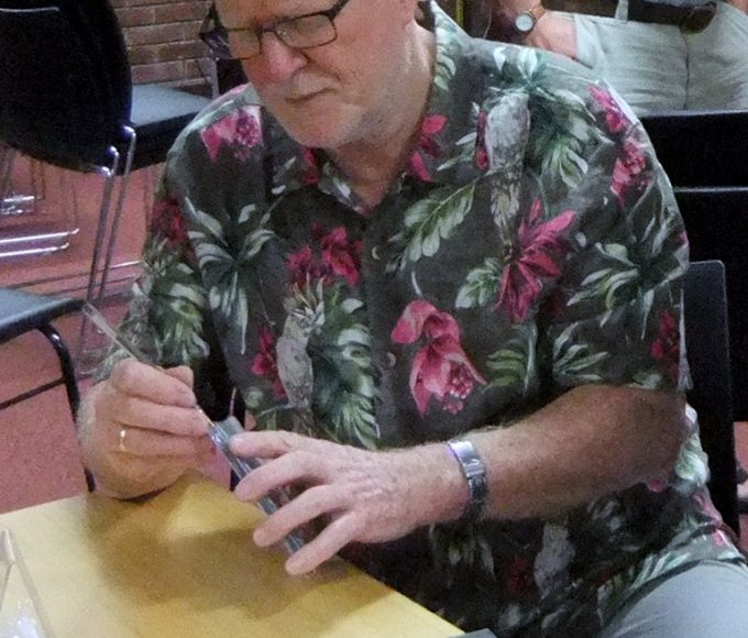 Carrick: Mick Hanly Plays Songs From New Album Homeland