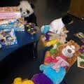 Teddy Bear Sleepover In Cashel Library