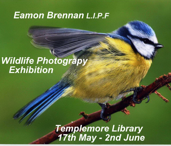 Templemore: Wildlife Photography Exhibition
