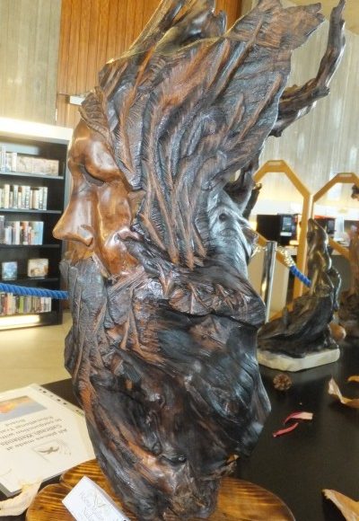 Thurles Library; Cabragh Wetlands Bog Oak Exhibition