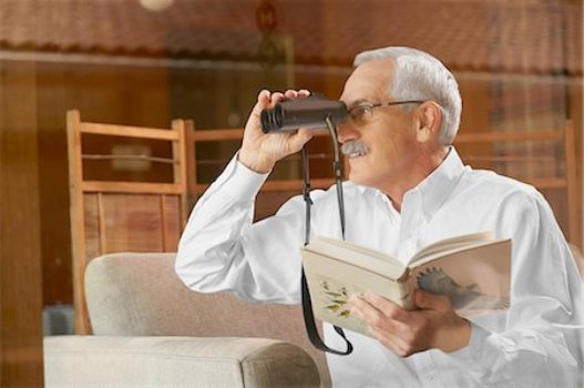 Bird Watching 101: food, feeders and behaviour