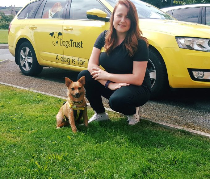Dogs Trust Workshop In Clonmel Library
