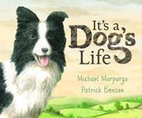 IT’S A DOG’S LIFE (Copy)