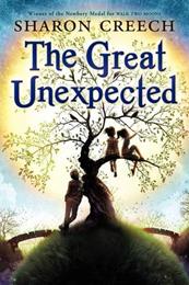 THE GREAT UNEXPECTED (Copy)