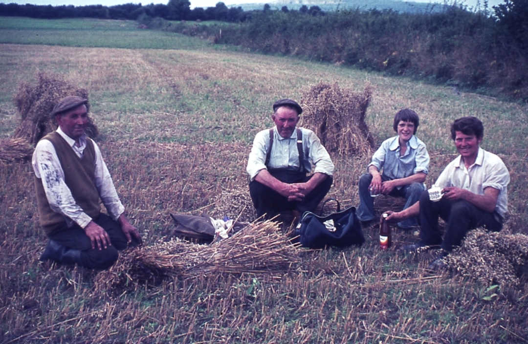 Men taking a break from harvesting