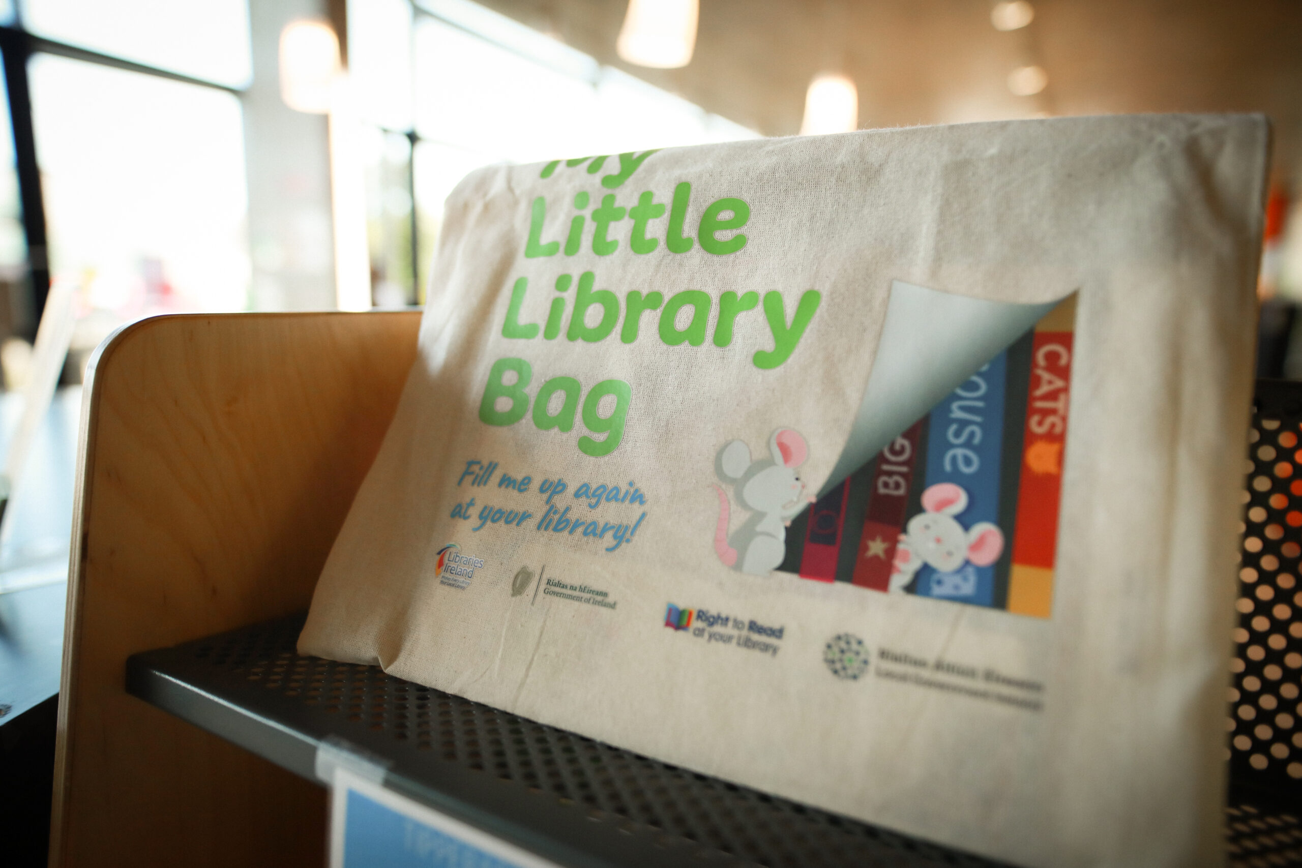 Little library bag