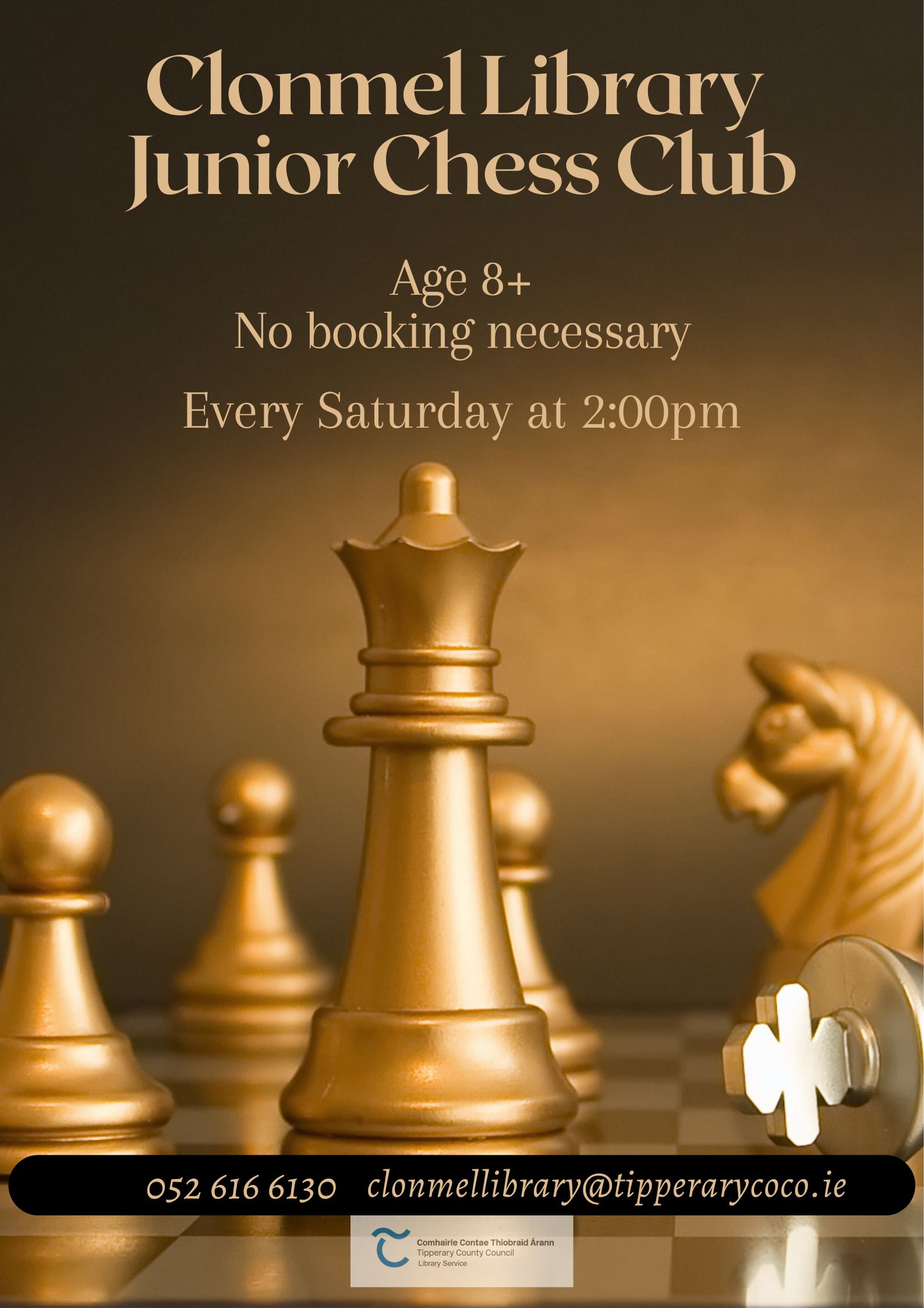 poster for chess club every sat at 2 in clonmel library