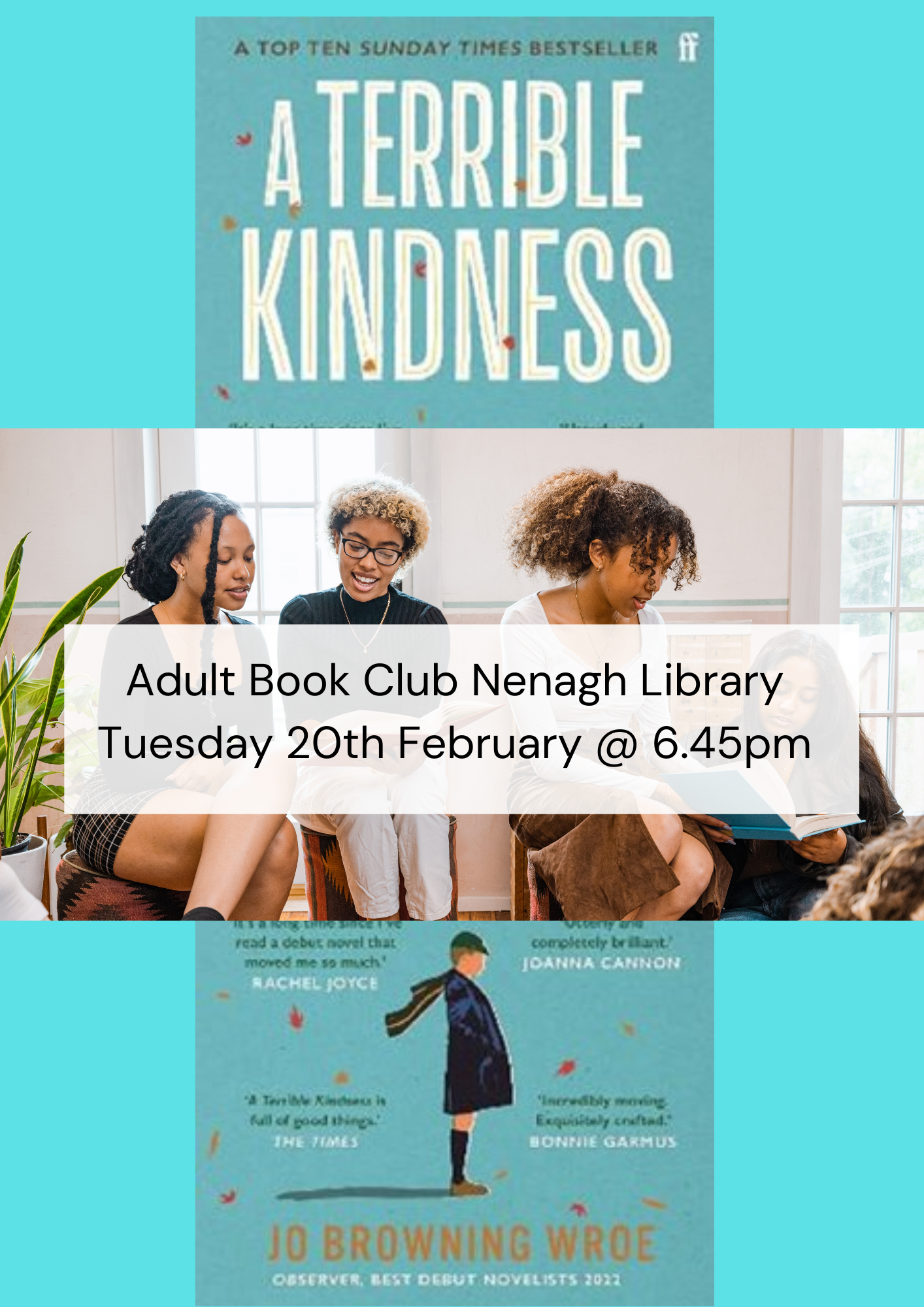 Adult Book Club Nenagh Library Tuesday 20th February @ 6.45pm