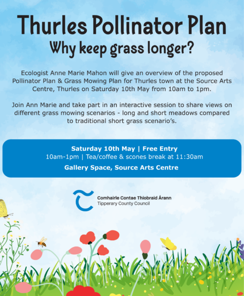 Thurles Pollinator Plan with Ecologist Anne Marie Mahon - The Source Arts Centre, Thurles. Saturday 10th May 10am to 1pm.