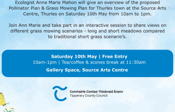 Thurles Pollinator Plan with Ecologist Anne Marie Mahon - The Source Arts Centre, Thurles. Saturday 10th May 10am to 1pm.
