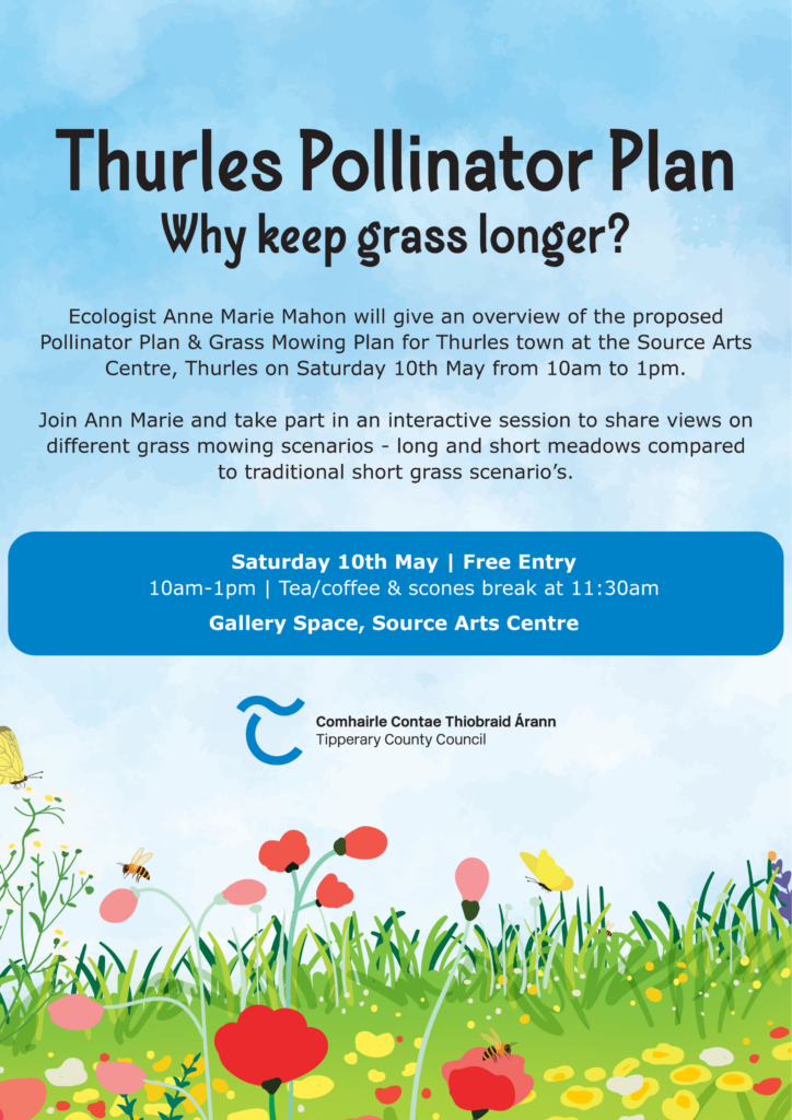 Thurles Pollinator Plan with Ecologist Anne Marie Mahon - The Source Arts Centre, Thurles. Saturday 10th May 10am to 1pm.